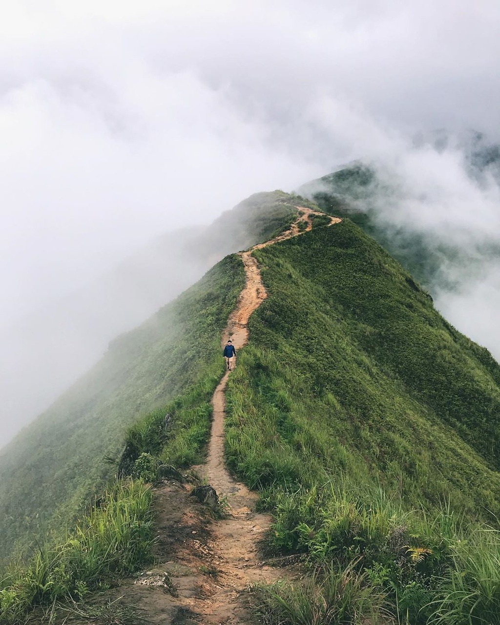 Sống Lưng Khủng Long Tà Xùa