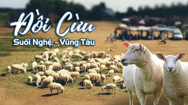 Đồi Cừu Suối Nghệ Vũng Tàu