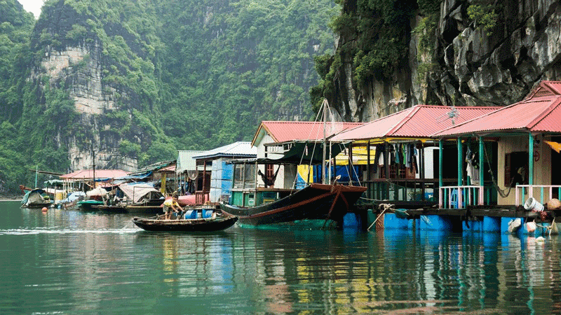 Làng chài Cửa Vạn Vịnh Hạ Long