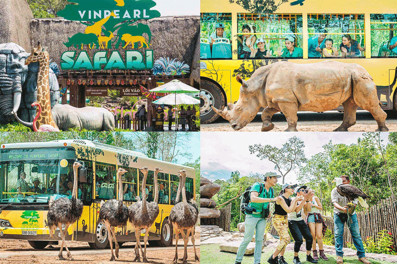 Vườn sở thú safari vinpearl