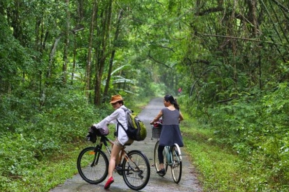 Trekking trong rừng Nam Cát Tiên